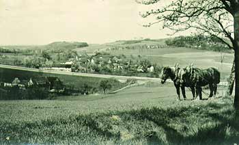 steinringen