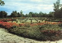 Bild 9614