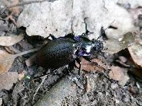 Bild 9783