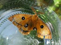 Bild 9802