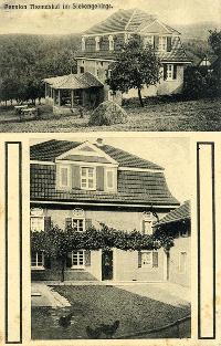 Bild 9828