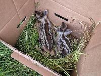 Bild 9829