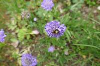 Bild 9845