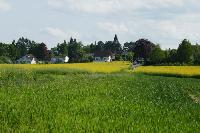 Bild 9850
