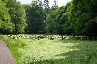 Bild 9852