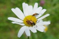 Bild 9861