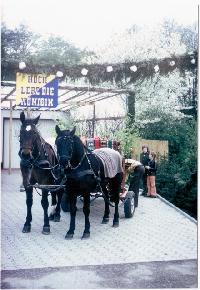 Bild 9877