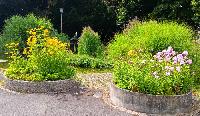 Bild 9956