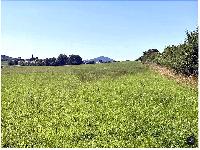 Bild 19506