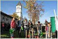 Bild 19518