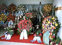 Bild 19533