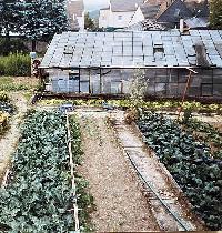 Bild 19534
