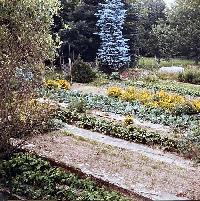 Bild 19535