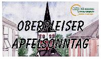 Bild 19546