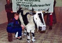 Bild 19551