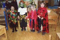 Bild 12449