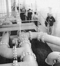Bild 12531