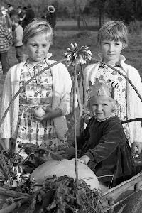 Bild 12564